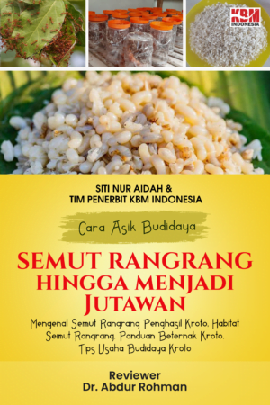 Cara Asik Budidaya Semut Rangrang hingga Menjadi Jutawan