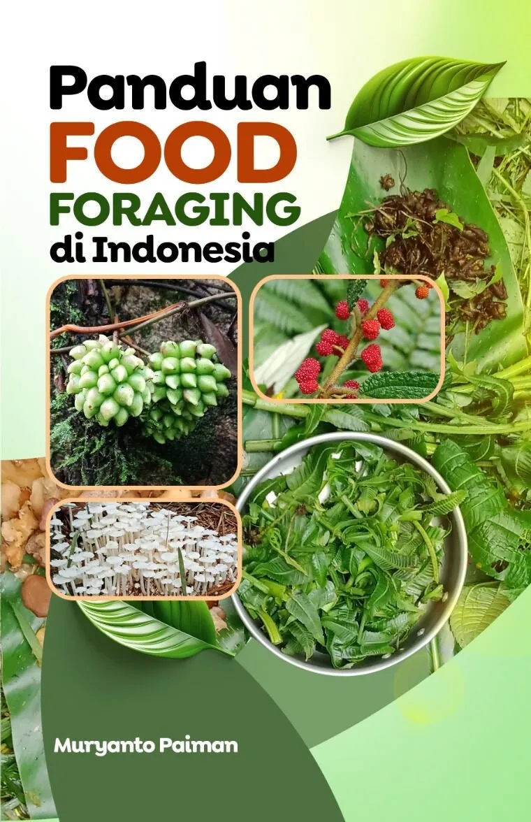 Panduan Food Foraging di Indonesia
