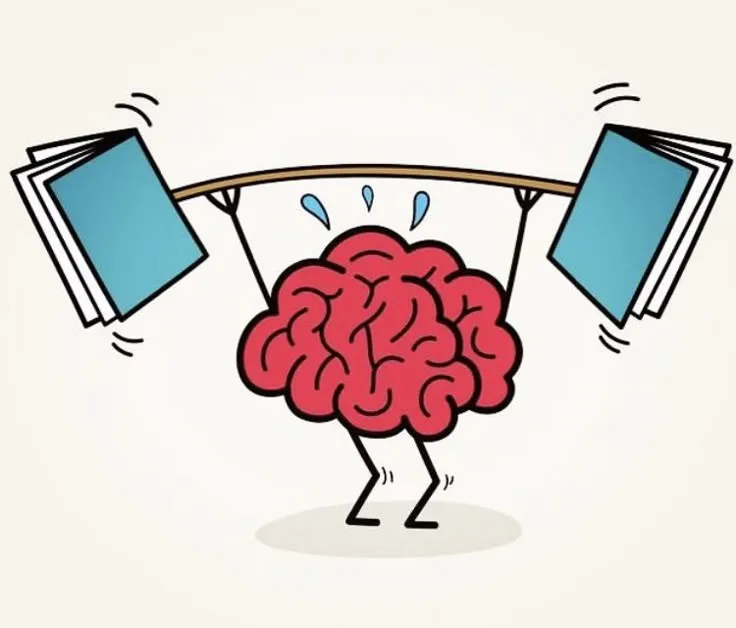 Panduan Lengkap Memilih Sampul Buku: Hard Cover, Soft Cover, & Edisi Spesial (Ilustrasi)