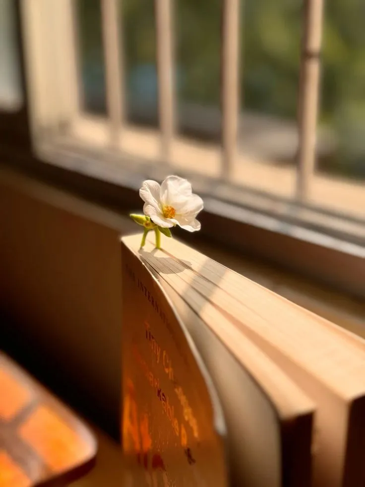 Merangkai Konflik dalam Novel Islami: Panduan Menciptakan Drama yang Bermakna (Ilustrasi)