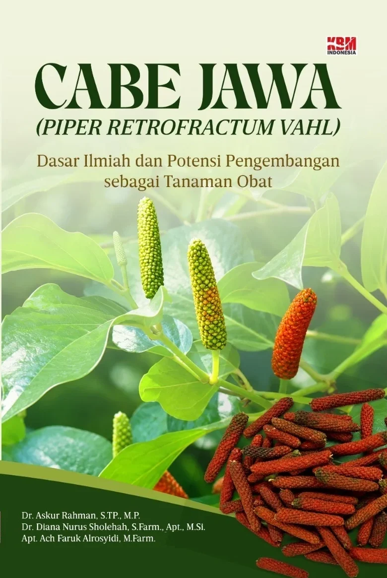 CABE JAWA (PIPER RETROFRACTUM VAHL) : Dasar Ilmiah dan Potensi Pengembangan sebagai Tanaman Obat